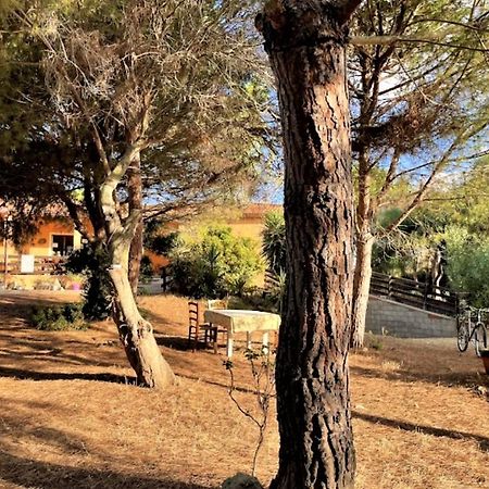 Il Lentischio Del Sinis Villa Путцу Иду Екстериор снимка